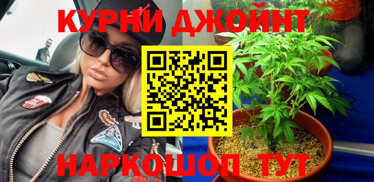 Сальск  Конопля гибрид  Канабис ГИДРОПОН  МАРИХУАНА Bruce Banner  Вход с VPN 